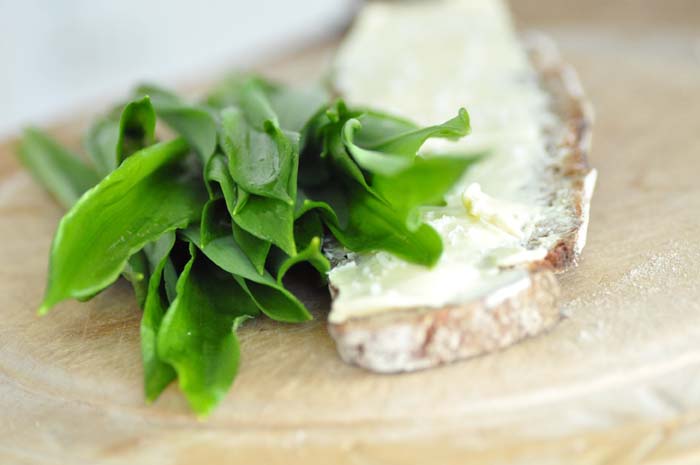 butter, bread &amp; bear´s garlic/ butterbrot &amp; bärlauch: enjoy the simple ...